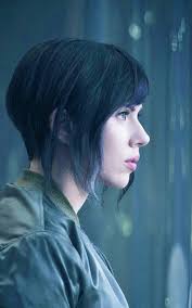 Dan Eckstein (daneckstein1)