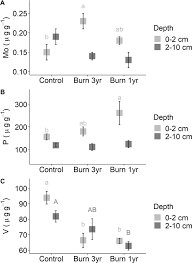 Check spelling or type a new query. Biological Nitrogen Fixation Does Not Replace Nitrogen Losses After Forest Fires In The Southeastern Amazon Springerlink