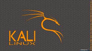 Changing wallpaper in kali linux 2020 and also changing the terminal wallpaper. 43 Kali Linux Wallpaper 1920x1080 On Wallpapersafari