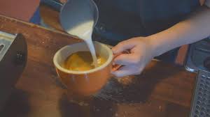 Charlotte's cat cafe in the heart of noda! Nu Bsfp8yn1sfm