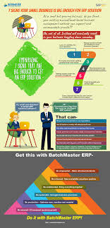 Erp Is An Essential Growth Driver For Small And Medium Sized Businesses Here S An Infographic That Tells Sig Small Business Infographic Grow Business Business