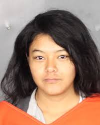 Woman charged with grabbing officer's gun