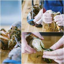 Acquistando invece l'astice surgelato sarà importante controllare la sua provenienza e la data di confezionamento. Come Pulire L Astice Come Fare Per Sonia Peronaci