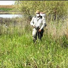 Teton county weed and pest control district is a legally organized weed and pest district by wyoming state statutes (w.s. West Nile Cases In Idaho On The Rise Officials Warn Of Continuing Risk The Spokesman Review