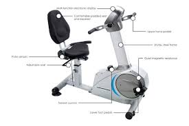 The seat can be adjusted for height to fit users of. 9 Best Recumbent Bikes For Seniors 2021 Reviews