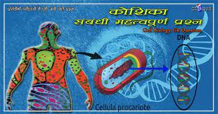 Check spelling or type a new query. à¤• à¤¶ à¤• à¤¸ à¤¬ à¤§ à¤®à¤¹à¤¤ à¤µà¤ª à¤° à¤£ à¤ª à¤°à¤¶ à¤¨ à¤œ à¤µ à¤µ à¤œ à¤ž à¤¨ à¤ª à¤°à¤¶ à¤¨ à¤¤ à¤¤à¤° Cell Biology Topics