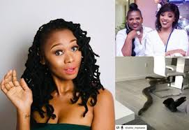 Jackson mthembu's death on thursday, from covid, has left south africans reeling with an outpouring of tributes for a man who was deeply loved, and known for his sense of fun, loud laughter, and desire to always put people at ease. Shauwn Mkhize S Daughter Sbahle Responds To Jackie Phamotse Sets The Record Straight About The Viral Snake Video News365 Co Za