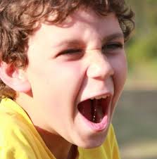 Autism and Inclusion