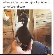 When You Re Dark And Spooky But Also Very Nice And Cute Ifunny Goth Memes Funny Friend Memes Friendship Memes Funny