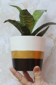 Black And White Outdoor Plant Pots The Pearl Painted Flower Pot Mother Nature Collection Etsy Painted Flower Pots Terracotta Flower Pots Small Flower Pots