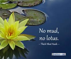 I hope you like these quotes about lotus from the collection at life quotes and sayings. Lotus Flower Meaning And Symbolism Quotes With Graphics Ann Silvers Ma