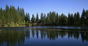 dawn lake, mariposa ca