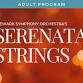 Newark Symphony Orchestra's Serenata Strings event in Elkton, MD