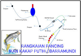 Entdecke rezepte, einrichtungsideen, stilinterpretationen und andere ideen zum ausprobieren. Cara Membuat Rangkaian Pancing Ikan Kakap Putih Barramundi Aliems Journey