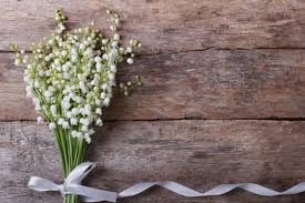 9c41c2e8 e9f0 42e9 a8cc 8575a2b1da2e 季節の生花種類 ユリの花束 花 待ち受け