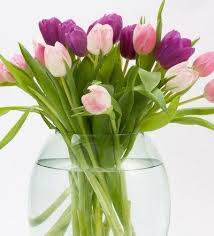 His next book will be finished next yeat. 5 Ways To Declutter Without Guilt Home Decluttering Tips Happy Birthday Flower Tulips Birthday Flowers