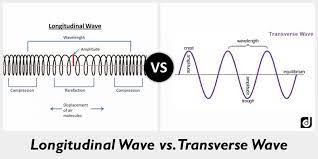 (iv) both longitudinal and transverse are mechanical waves. Properties Of Waves 8th Grade Science