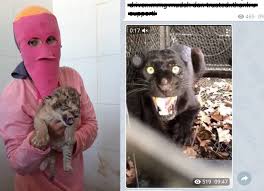 We owe them a duty of care as we do to children. Local Online Shop Selling Illegal Exotic Animals Claim They Have Permission Letter From National Palace