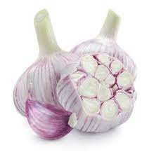 Top 14 Faqs About Growing Gourmet Garlic For Profit Garlic Seeds Planting Vegetables Organic Plants