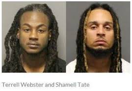 Offenders arrested after break-ins, vehicle chase