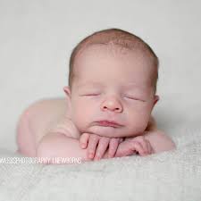 Stephanie Lawless Photography