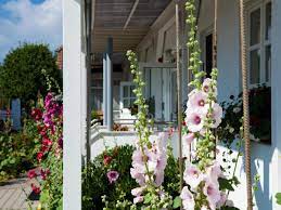 Hören sie das meer vor dem haus rauschen. Hotel Haus Am Meer Deutschland Ahrenshoop Booking Com