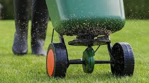 Lawn sand consists of fine sand, ammonium sulphate and iron sulphate, and can be applied directly to the lawn as a weed killer and for moss prevention. Using Lawn Sand To Kill Moss And Feed Your Lawn In The Spring