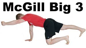 Www.posturevideos.com the advanced cat camel posture exercise targets the muscles in your flanks. The Mcgill Big 3 For Core Stability Squat University