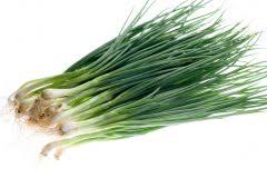 Chop the spring onions into rings. Fruhlingszwiebeln Einfrieren Vorbereitung Zur Lagerung