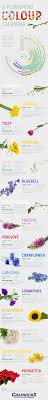 A Flowering Colour Calendar Infographic Flower Garden Plants Garden