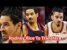 Rodney Rice To Transfer