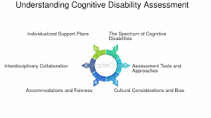 Image result for Disability Evaluation
