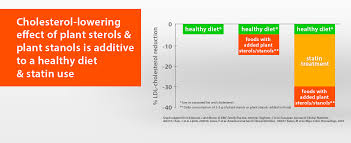 What are plant sterols and stanols. Ipssa International Plant Sterols And Stanols Association Science And Studies