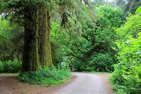 Maybe you would like to learn more about one of these? 6 Best Campgrounds In Redwood National And State Parks Ca Planetware