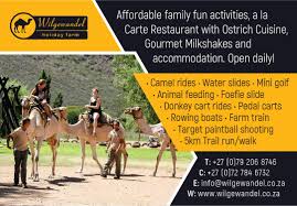 Wilgewandel holiday farm & restaurant. Route 62 Marketing Agency Facebook