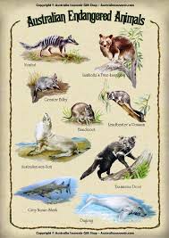 Australian Endangered Animals Endangered Animals Australian Animals List Endangered