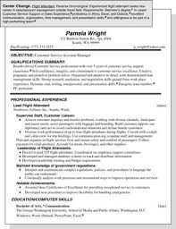 sample resume for a career change dummies