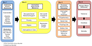 A Conceptual Model For Understanding Post Release Opioid Related Overdose Risk Addiction Science Clinical Practice Full Text