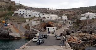 Image result for Lankesteria