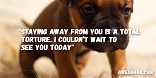 More from the date mix. 100 Cute Things To Say To Your Girlfriend Sweet Nice Dec 2019