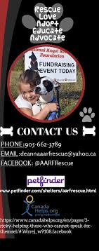 Petco's welcome to the family new pet parent starter guide provides new pet parents substantial benefits with hundreds of dollars worth. Pets For Adoption At Aarf Animal Angel Rescue Foundation In Stoney Creek On Petfinder