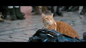 Take a look the first official poster of a street cat named bob, the upcoming drama comedy movie directed by roger spottiswoode based on the book. A Street Cat Named Bob 2016 Photo Gallery Imdb