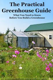 Are you thinking of adding a if you do decide to bring water and electricity to the greenhouse, make sure that you bury all of the supply lines at let's look at how each of these elements factors into your greenhouse environment. Greenhouse Guide What You Need To Know Before You Build