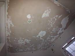 Check spelling or type a new query. Peeling Paint On Bathroom Ceiling Is This The Correct Approach To Repaint Diynot Forums