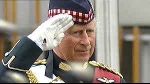 164 David Pipe Stock Videos, Footage, & 4K Video Clips