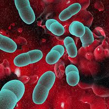 Going viral on youtube as a business is about sharing a message that's going to connect with your intended audience large or small. 3 Reasons Why Youtube Videos Go Viral