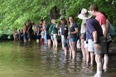 Wade into Summer Festival