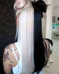 We Can Struggle To Pay A Visit To Salons At The Moment Still That Doesn T Mean That Color Position Ought To Suf In 2020 Hair Dye Colors Split Dyed Hair Two