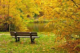 Banking products are provided by bank of america, n.a. Bank Im Wald Im Herbst Stockbild Bild Von Sitz Alleine 47629659