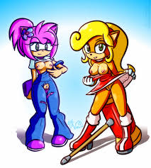 Rule34 - If it exists, there is porn of it  jezmm, amy rose, coco  bandicoot  1598523